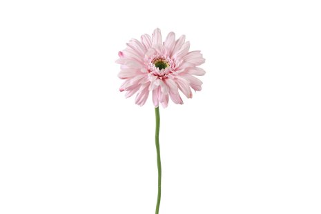 Countryfield Kunstbloem Gerbera Leanne roze 8x8x63cm