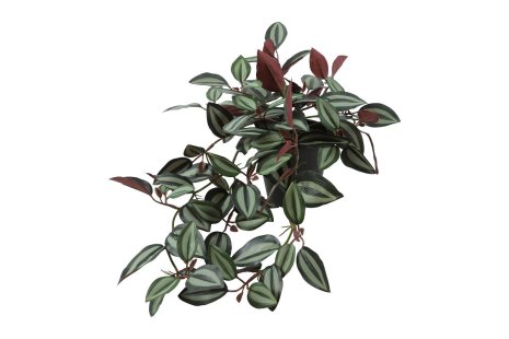 Countryfield Kunstplant steker/hang Tradescantia 23x30x50cm